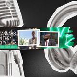 CANNABIS in the CITY / Pilot