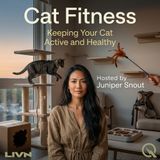 Cat Fitness - The Play Prescription: How Much Exercise Does Your Cat Really Need?