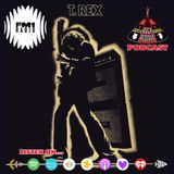 T.REX & Bolan Story