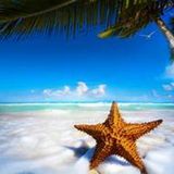 Episode 625- Tropical Starfish - Keys Bartender