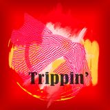 Trippin' #16 - Disjointed and Distorted Beats - 23/06/2020