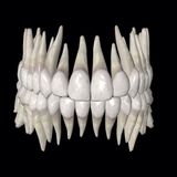 Lista de reglas extrañas para los dientes