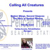 Calling All Creatures Presents Broken Wings, Second Chances: The Story of Seabird Rescue