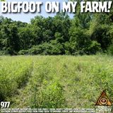 Sasquatch Stalks Southern Illinois Farm Delivering Terrifying Close-Range Encounters!