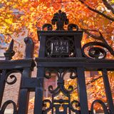 Trial Over Alleged Race Bias In Harvard Admissions Begins