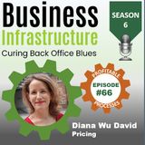66: Diana Wu David s Pricing Process