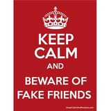 How to Deal With Frenemies: Case of the Fake People