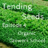 Ep 4 - Organic Growers School
