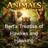 Bert's Treatise of Hawkes and Hawking - Edmund Bert