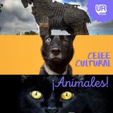 ¡Animales!