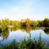 Gestione sostenibile dell’acqua: il 23 ottobre un corso formativo gratuito per le imprese