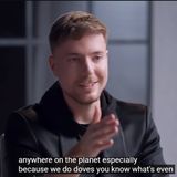 Characteristics Needed To Be Successful Mr Beast