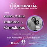 Gestión Cultural, Exhibición y Cineclubes