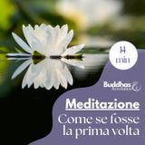 Come se fosse la prima volta (Mente del principiante)