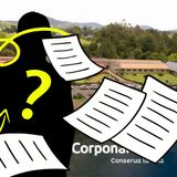 ¿Qué está pasando en Corponariño? ¿Por qué no nombran al nuevo director?