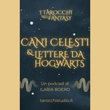 3.Cani celesti e lettere da Hogwarts
