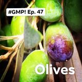 Olives - The 'Good Morning Portugal!' Podcast - Episode 47