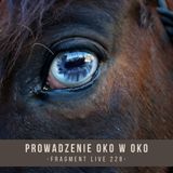 Prowadzenie oko w oko - fragment live 228