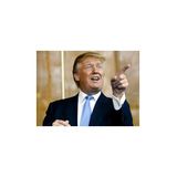C.D. - The Illegal Immigration Debate - The Trump Card?