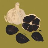 Superfoods 101: Black Garlic and Other Supplements