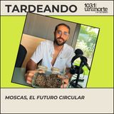 Moscas :: Especie clave para resolver la crisis de basura en las ciudades