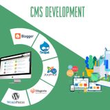 Key Reasons to Why Choose Drupal as a Reliable CMS Option for Your Business