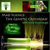 The GMO Puzzle - The Pieces Don't Fit Together