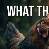 Chicken Science Facts That Will Change Everything Forever