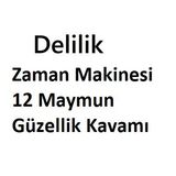 Zaman Makinesi, 12 Maymun, Güzellik Kavamı