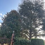 La famiglia come società naturale.