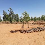 Regards de la jeunesse de Dosso sur le changement climatique(Tous à la fada)