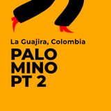 Palomino (seconda parte). La Guajira, Colombia.
