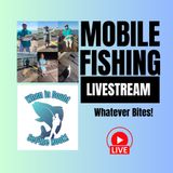 Fishing for Whatever Bites - Galveston Fishing Pier - Mobile Fishing Livestream 15 (Audio Podcast)