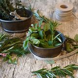 Rosmarino: proprietà, benefici e usi in cucina (e per il benessere)