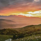 Episode 1585 - Jarvis Kingston Texans Steelers Monday Night Football NFL ESPN Liverpool Barnsley Autistic Barbie PSG CJ Stroud Aaron Rodgers