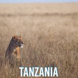 #23 Organizzare un safari perfetto in Tanzania - Intervista a Martina Santamaria