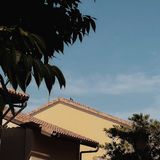 Casa di proprietà? L'ISEE 2026 cambia tutto