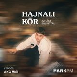 AKC Misi: Nagyon jól nézünk ki és jól szólunk az új formációval | Park FM – Hajnali Kör