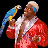 "THE BIRDMAN FLIES FREE: Koko B. Ware's Shocking Shoot"