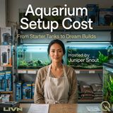 Aquarium Setup Cost - The Monthly Bill Nobody Warns You About