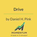 Drive: The surprising truth about what motivates us (Daniel H. Pink)