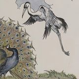 De Pauw en de Kraanvogel | Aesopus Fabels