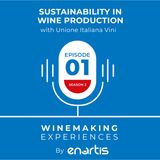Sustainability in wine production with Unione Italiana Vini