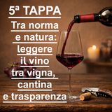 5ª TAPPA - PERCORSO di avvicinamento al MONDO del VINO NATURALE