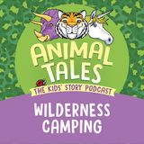 Wilderness Camping