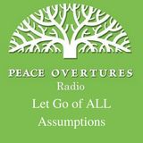 Ep 28 - Let Go of All Assumptions