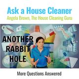 Ask a House Cleaner Rabbit Hole 2 - Your House Cleaning Questions Answered