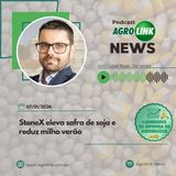 Arroz deve ter menor produção em 2026 diante de margens negativas