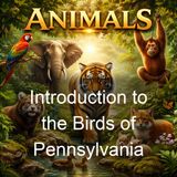 Introduction to the Birds of Pennsylvania - George Miksch Sutton