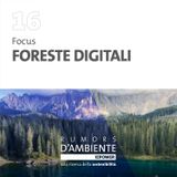 Focus - Foreste digitali